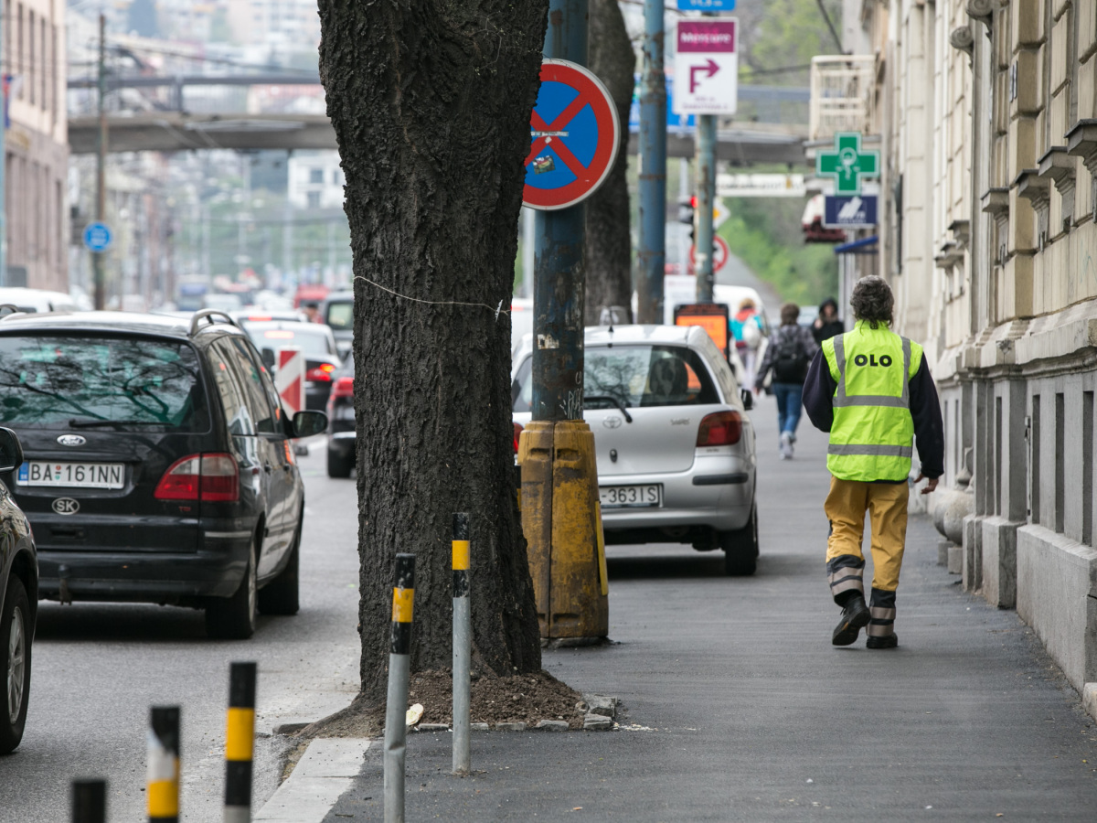 Štefánikova ulica, bratislava, stromy