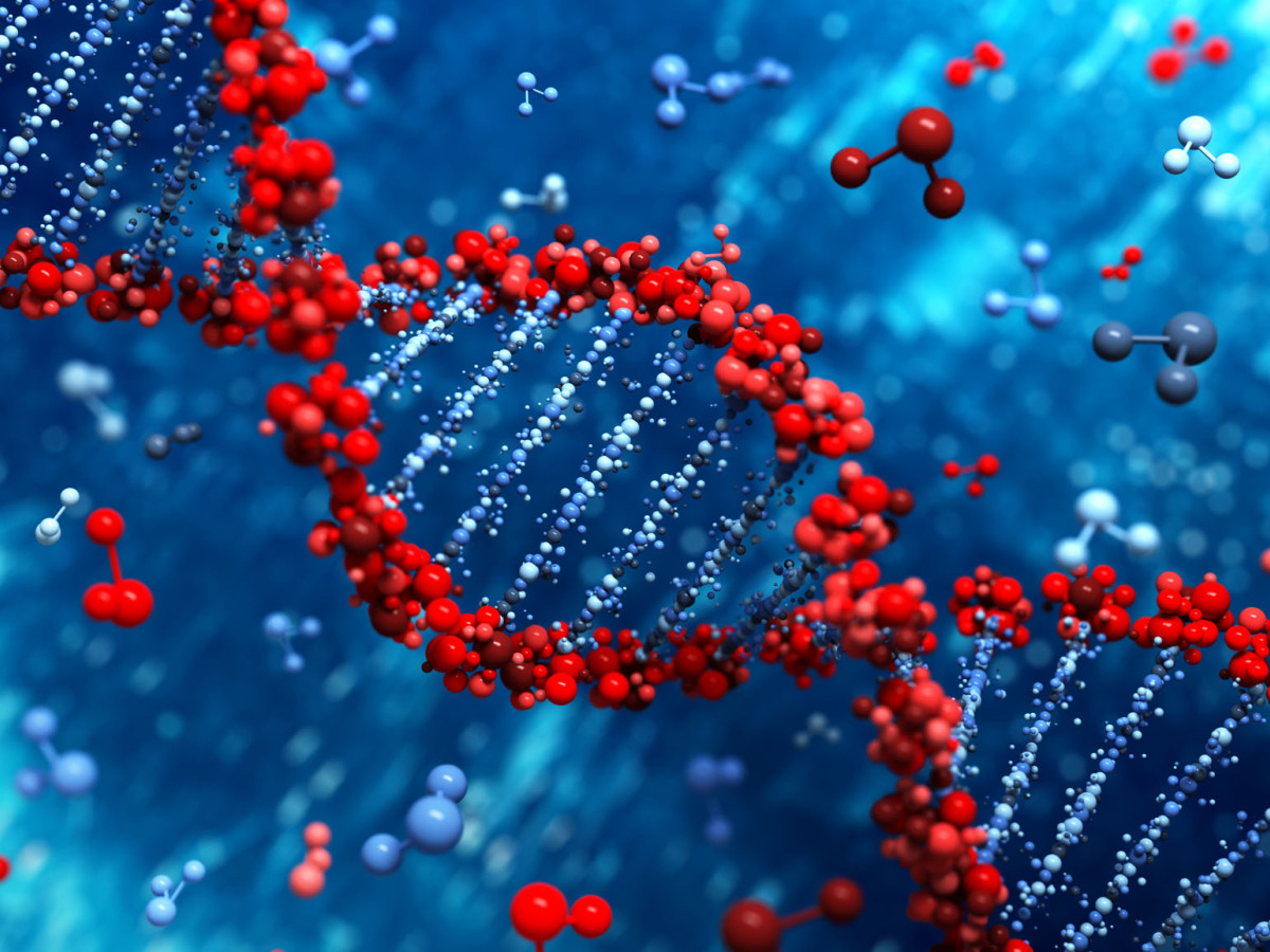 DNA, výskum, gény