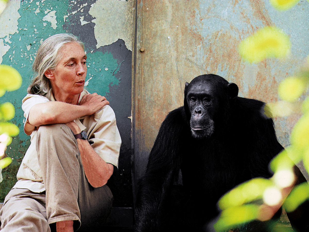 Jane Goodallová