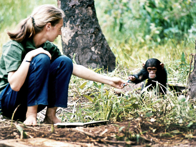 Jane Goodallová