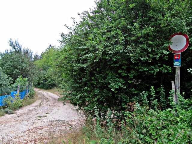 Kamenná, Nové mesto nad Váhom