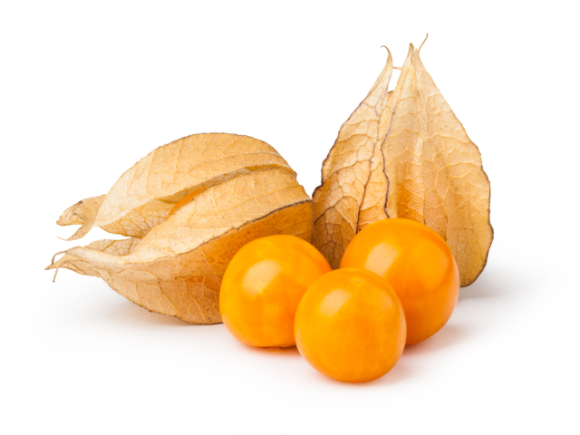 Physalis - židovská čerešňa.