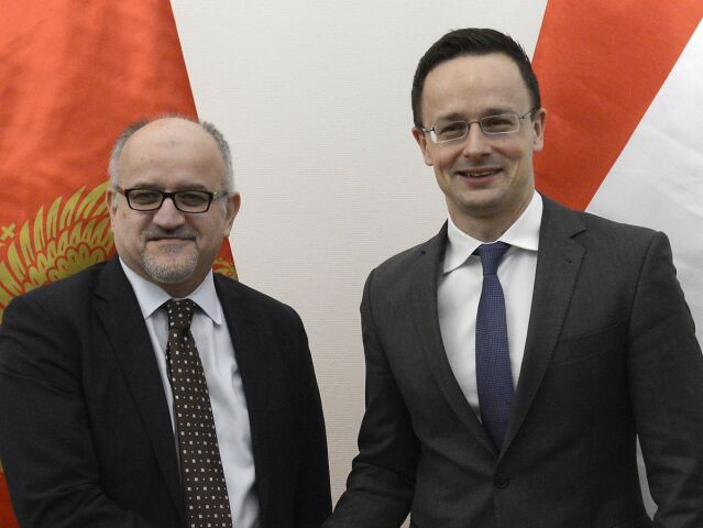 Srdjan Darmanovič,