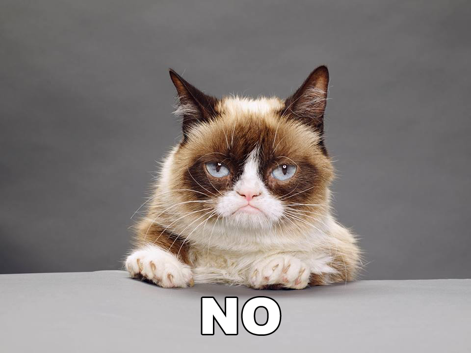 Majiteľka nadutej mačky, známej ako grumpy cat, na vtipoch so zvieraťom zarába milióny dolárov.