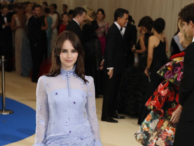 Herečka Felicity Jones v kreácii Erdem. 