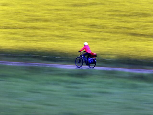 cyklistka, bicykel, repka, pole, prilba