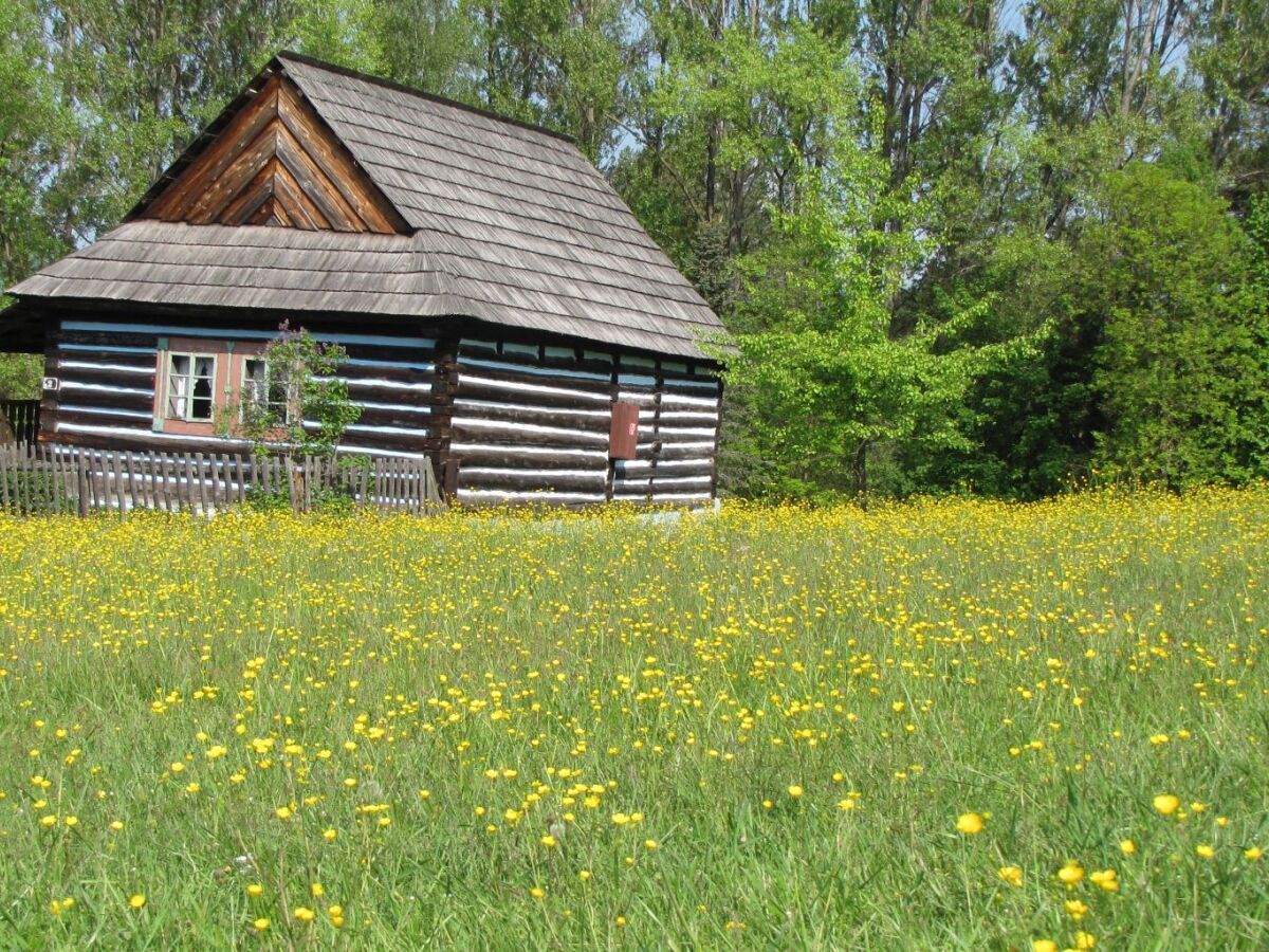 skanzen, ľubovňa
