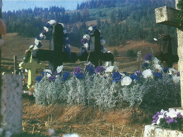 08-majling3