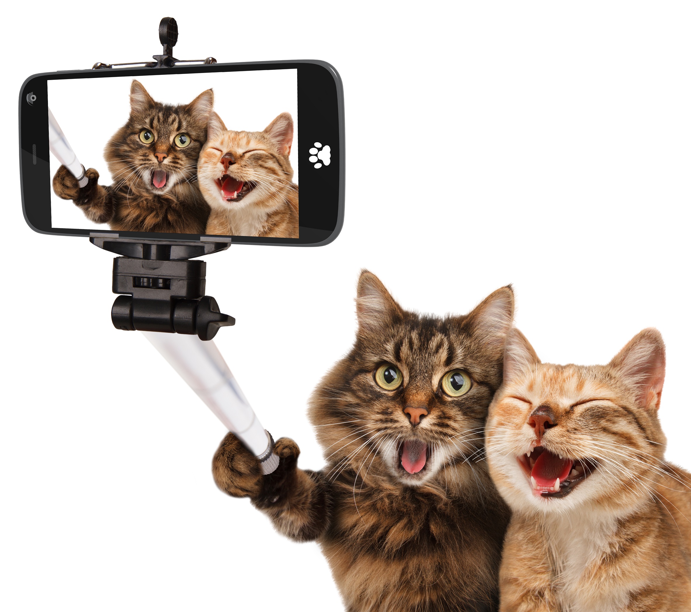 Selfietída núti človeka stále si robiť fotografie.