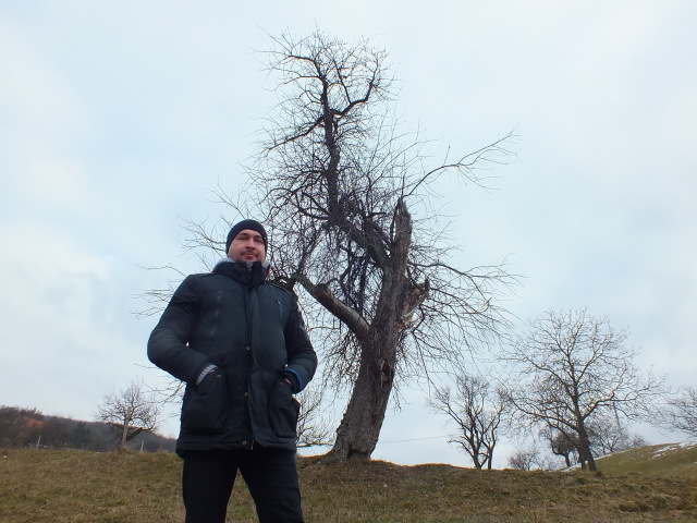 Bošáca, jabloň, Európsky strom roka