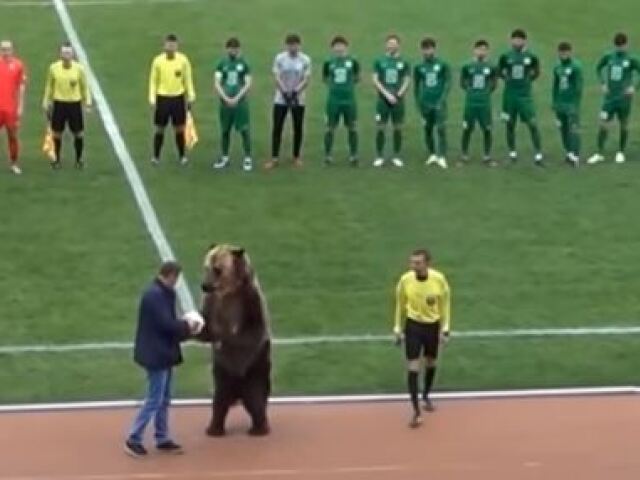 medveď