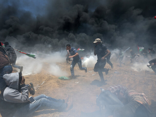 palestína protest
