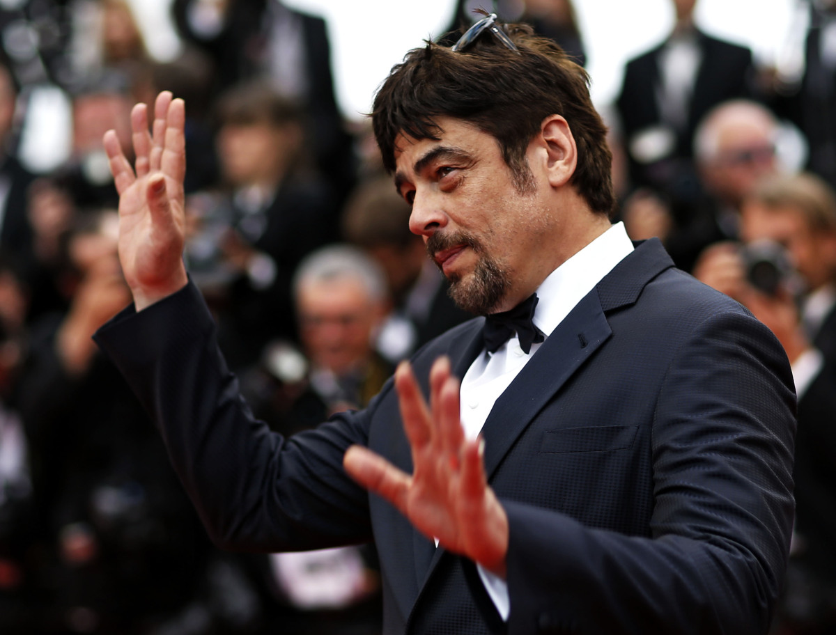 Herec Benicio del Toro máva divákom. 