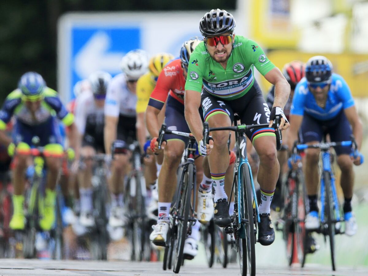 Sagan