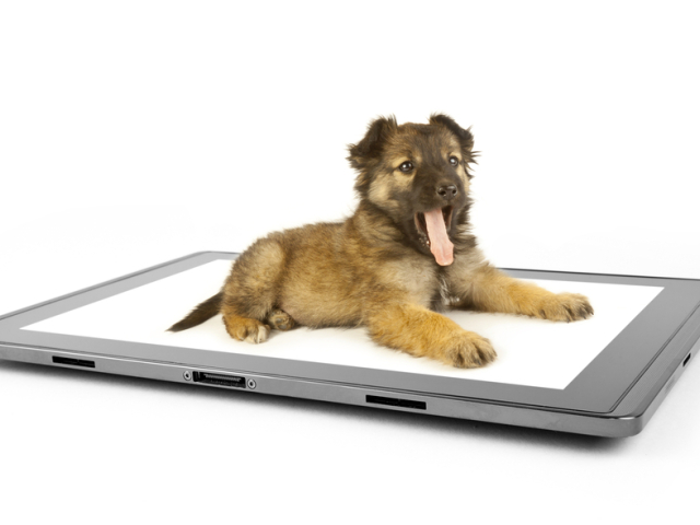 pes, tablet
