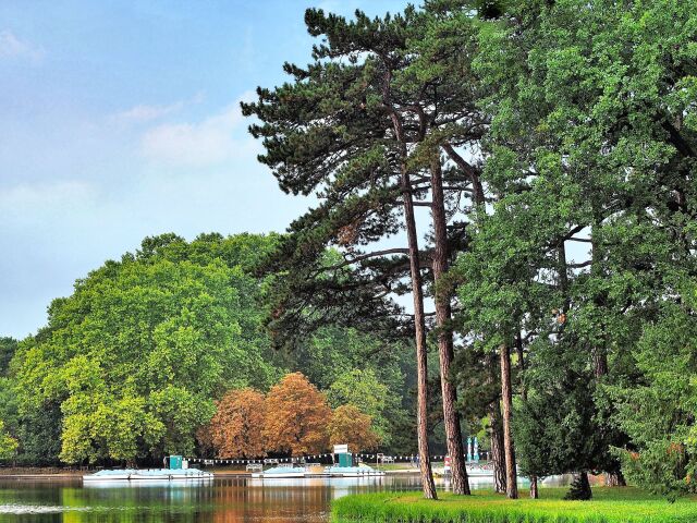Zámocký park v Laxenburgu.