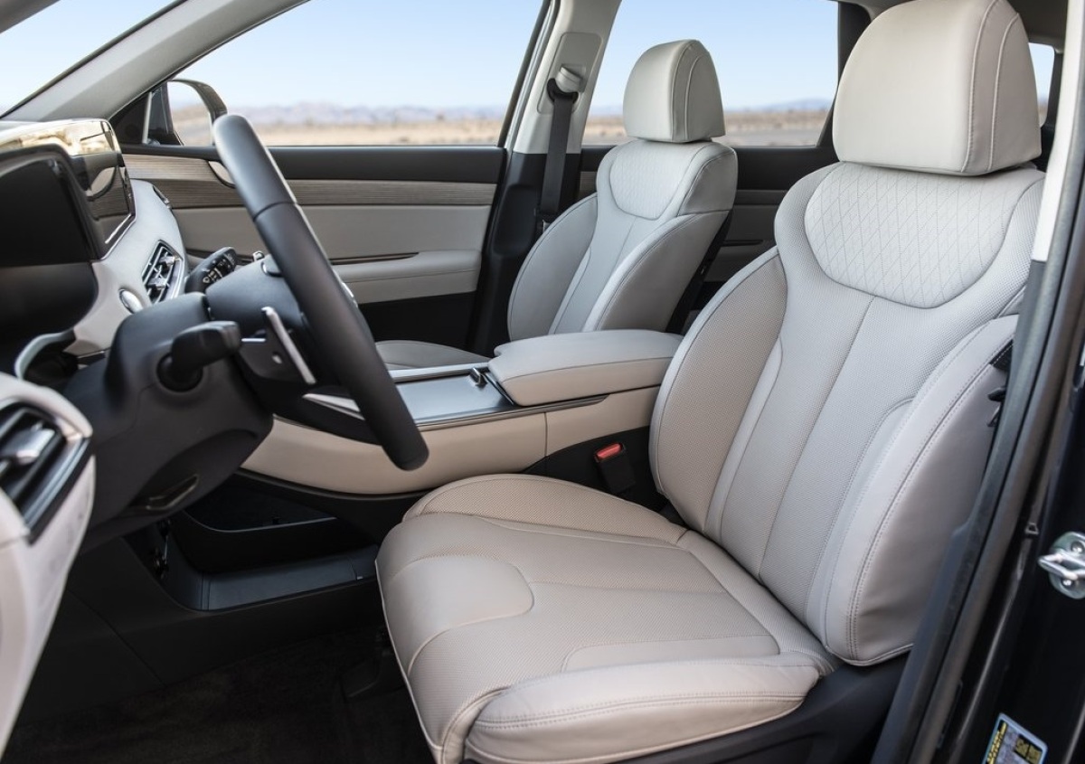 Hyundai-Palisade-2020-1024-1d