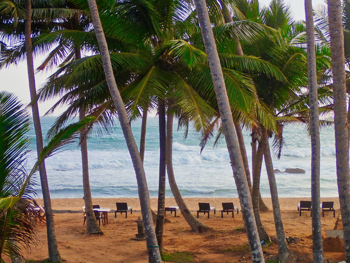 Mirissa, Srí Lanka, more, palmy