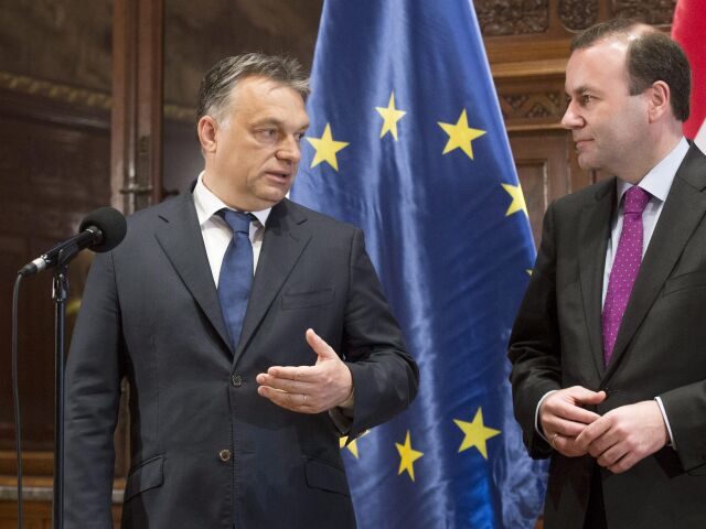 orbán, weber