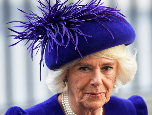 Vojvodkyňa Camilla