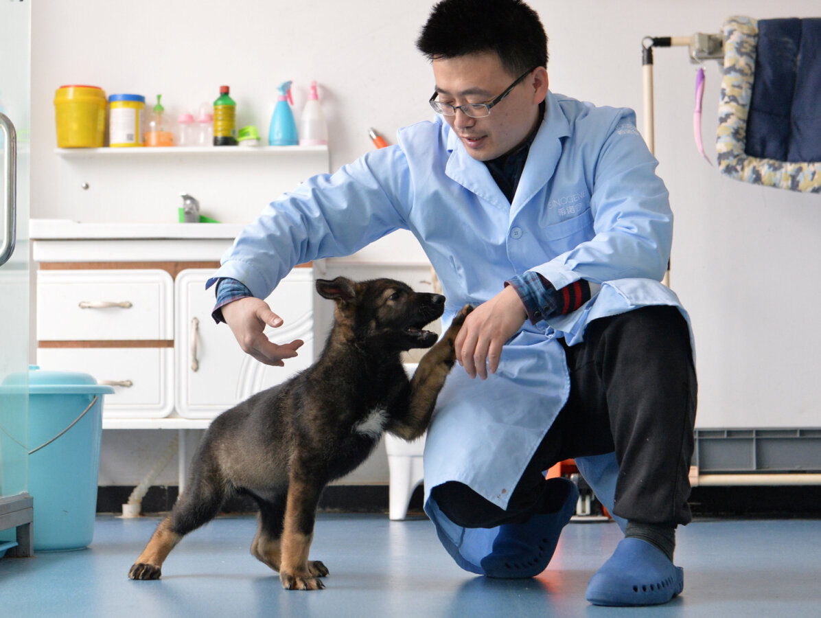 CHINA-SCIENCE/CLONE