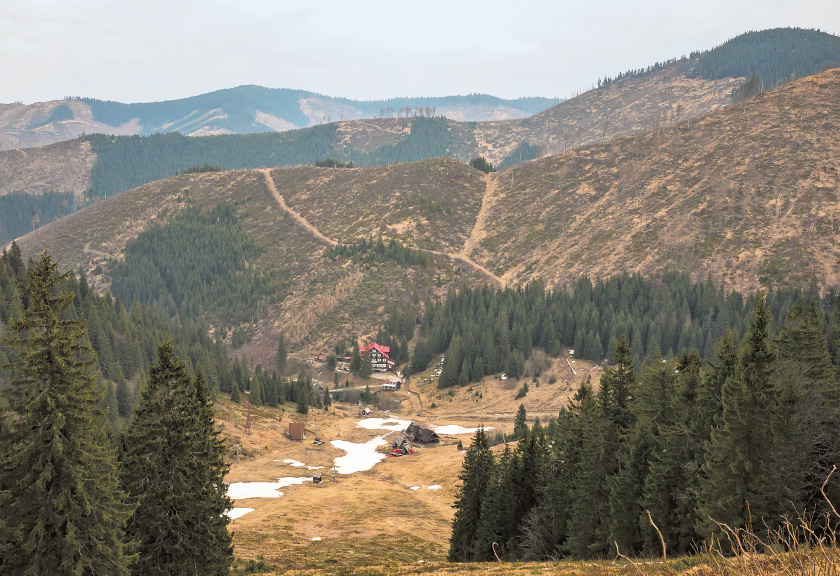 Vyrúbané lesy v Národnom parku Nízke Tatry za Čertovicou.