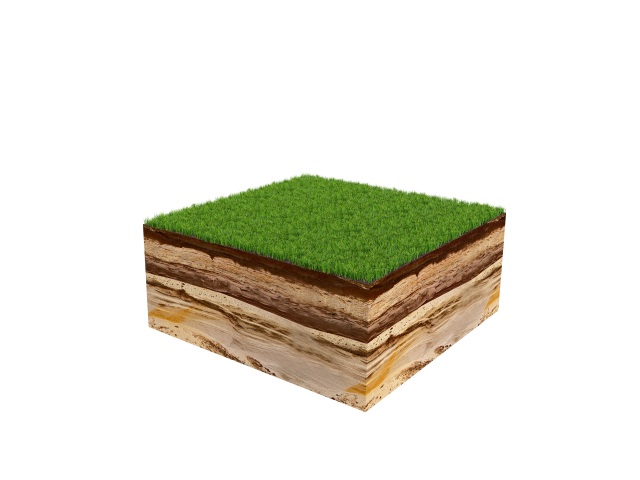 pôda