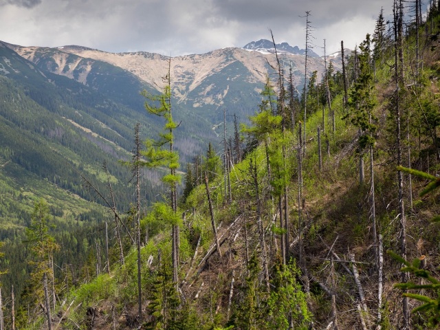 Tatry / SR /