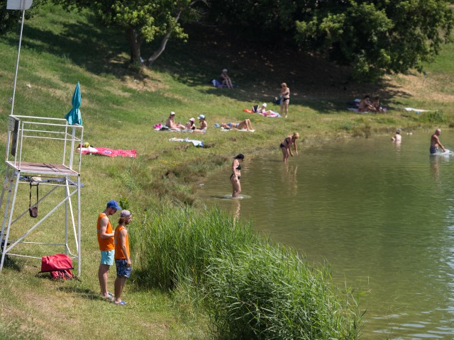 leto, kuchajda