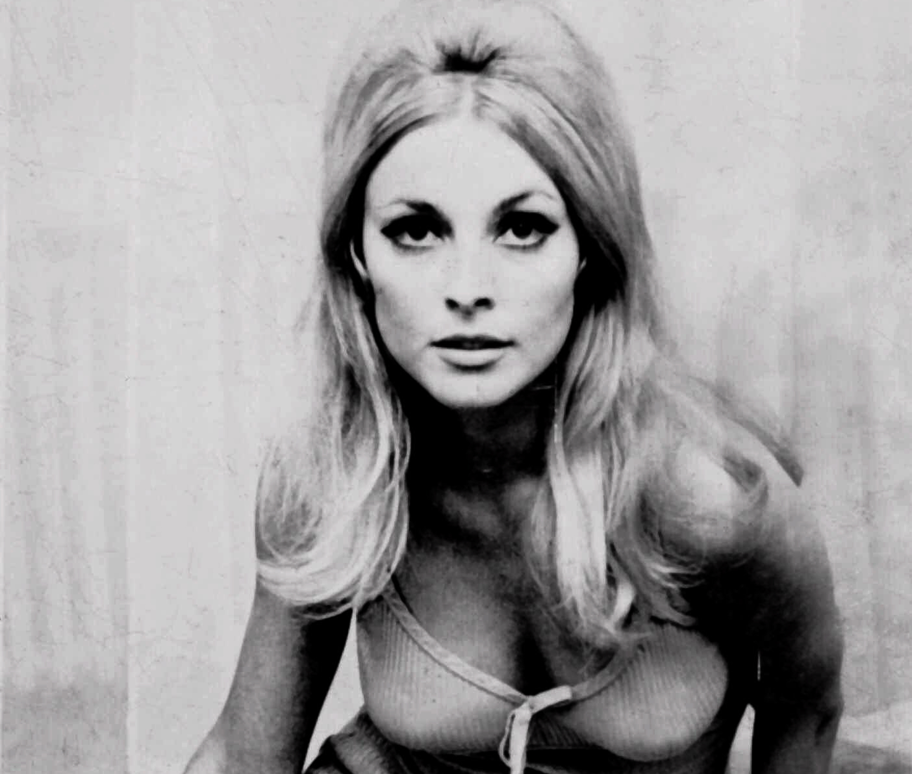 Herečka Sharon Tate na nedatovanej fotografii.