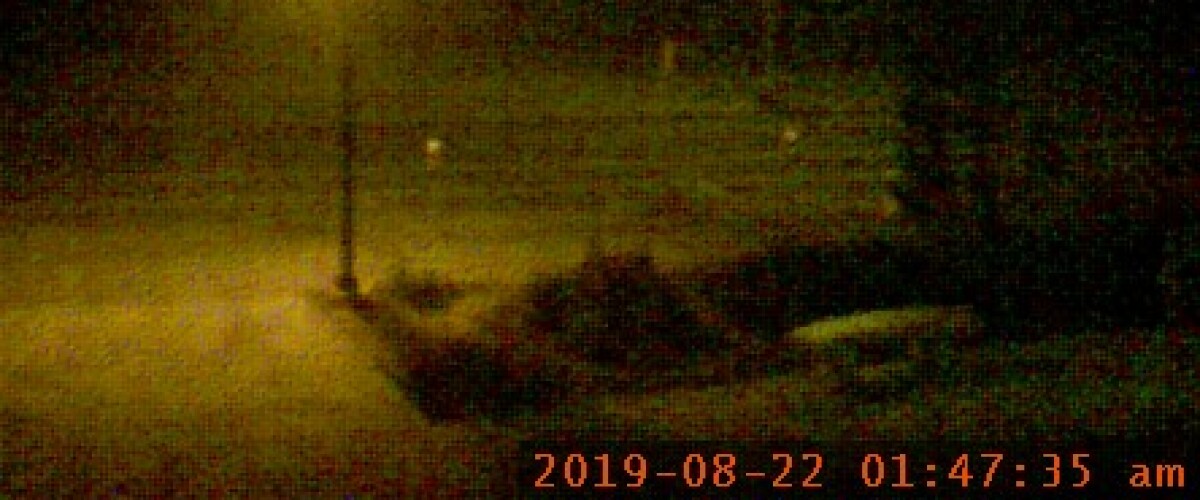 fogcam2