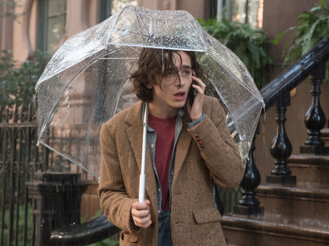 Herec Timothee Chalamet vo filme Daždivý deň v New Yorku.