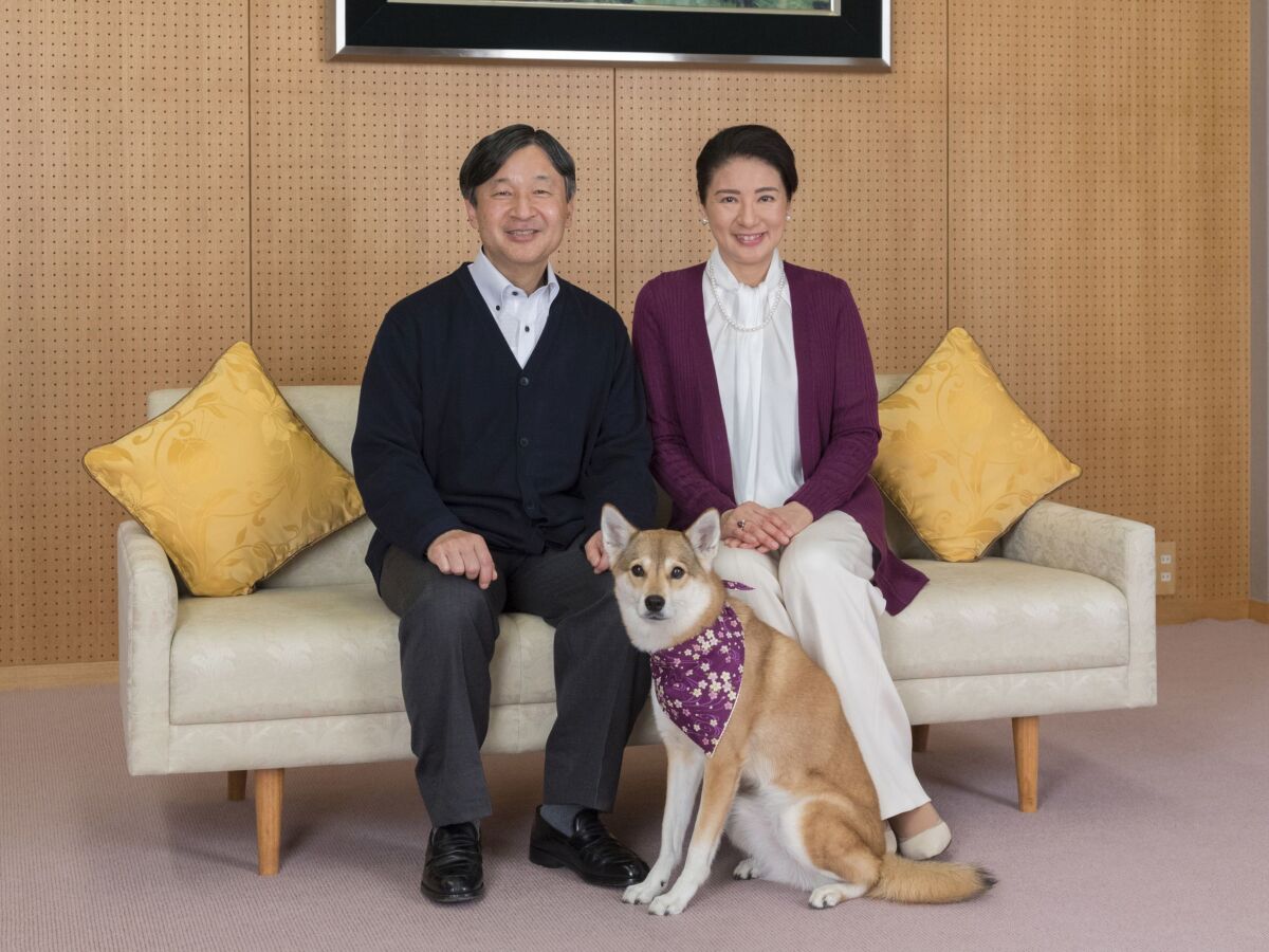 Japan Crown Princess