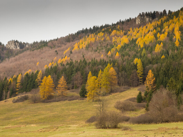 Malá Fatra