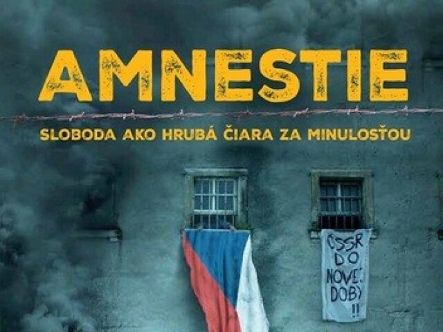 kolektív autorov: Amnestie