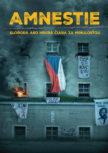 kolektív autorov: Amnestie