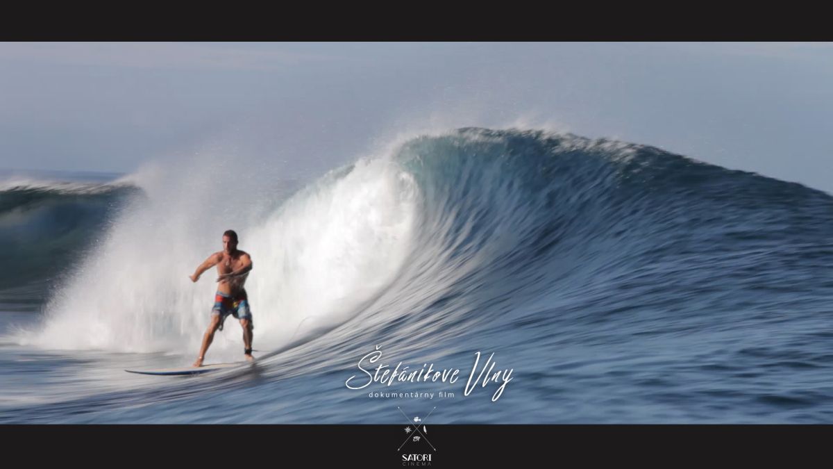 Stefanik Waves 4