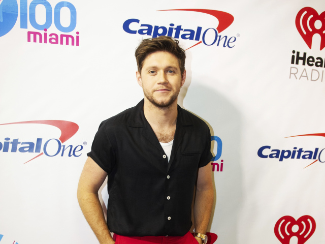 Spevák Niall Horan.
