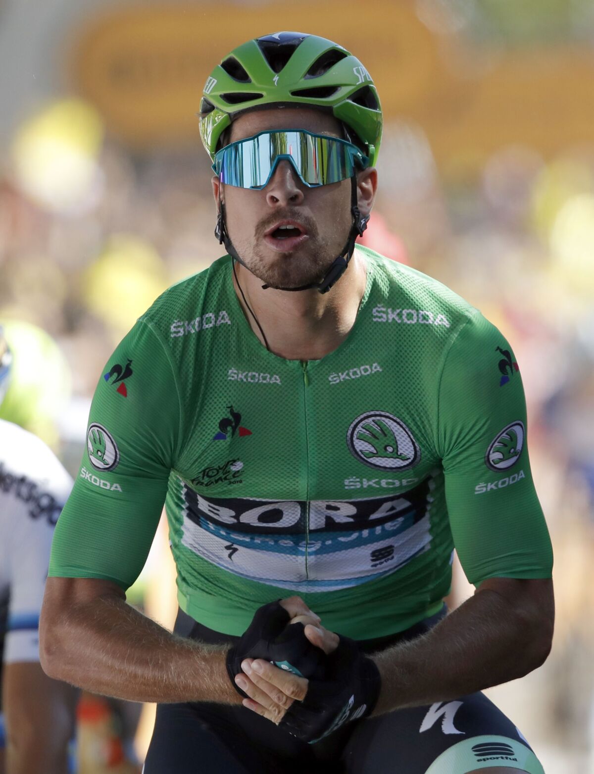 2018 Tour de France win