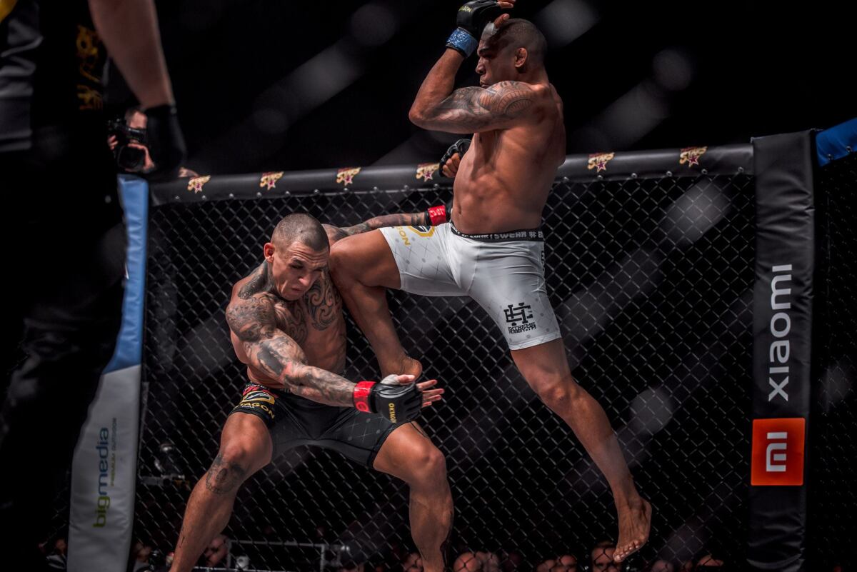 MMA