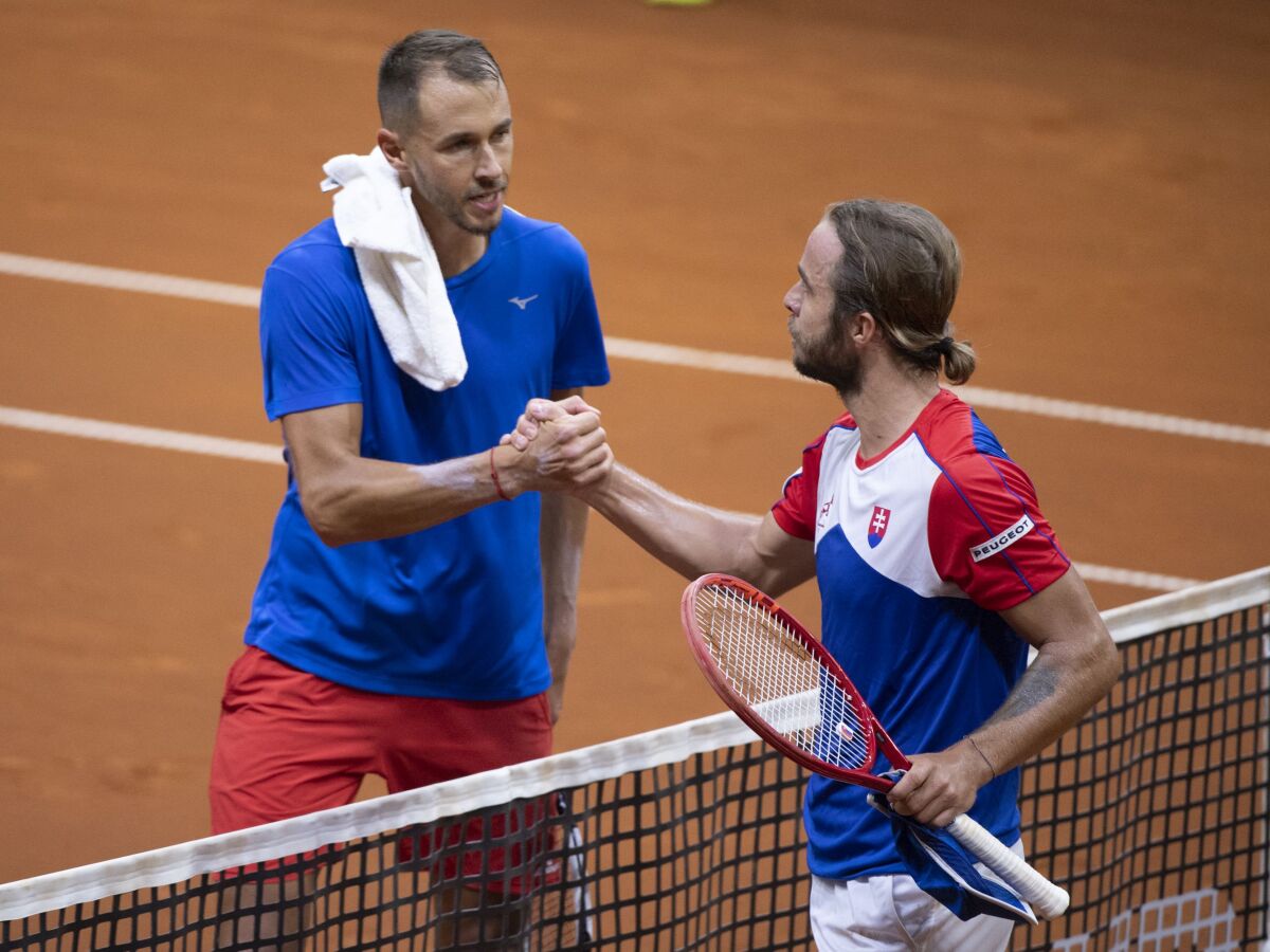 Andrej Martin, Lukáš Rosol