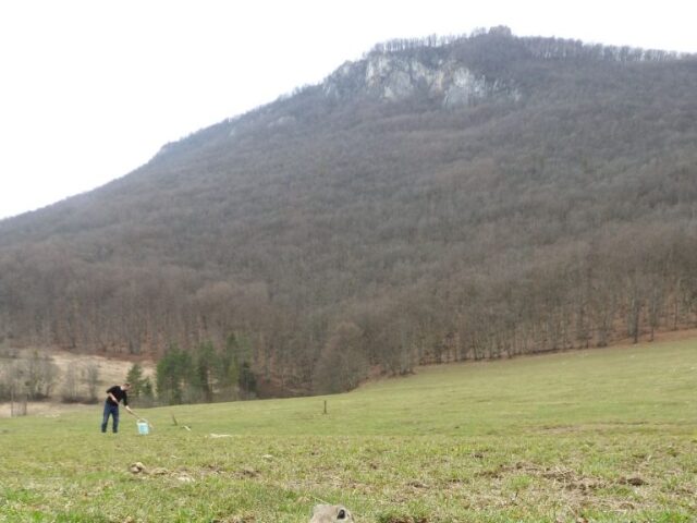 syseľ, sysle, Muránska planina