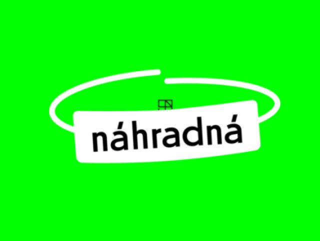 sng - nahradna galeria