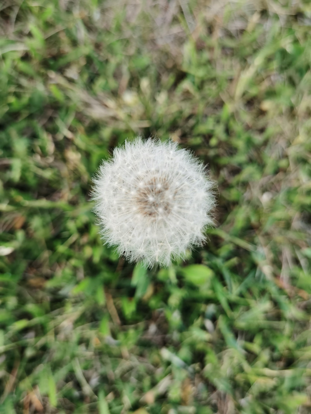 Huawei P40 Pro, smartfón, Huawei