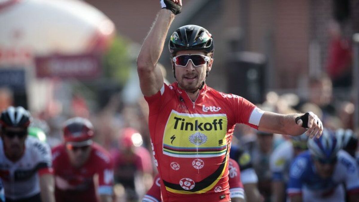 enecotour