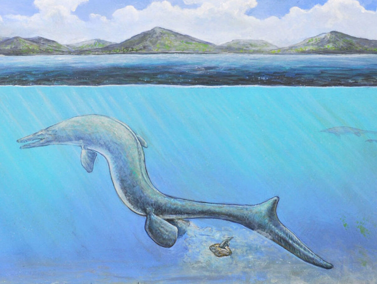 Maisano reconstruction-1-1200x675-c-default