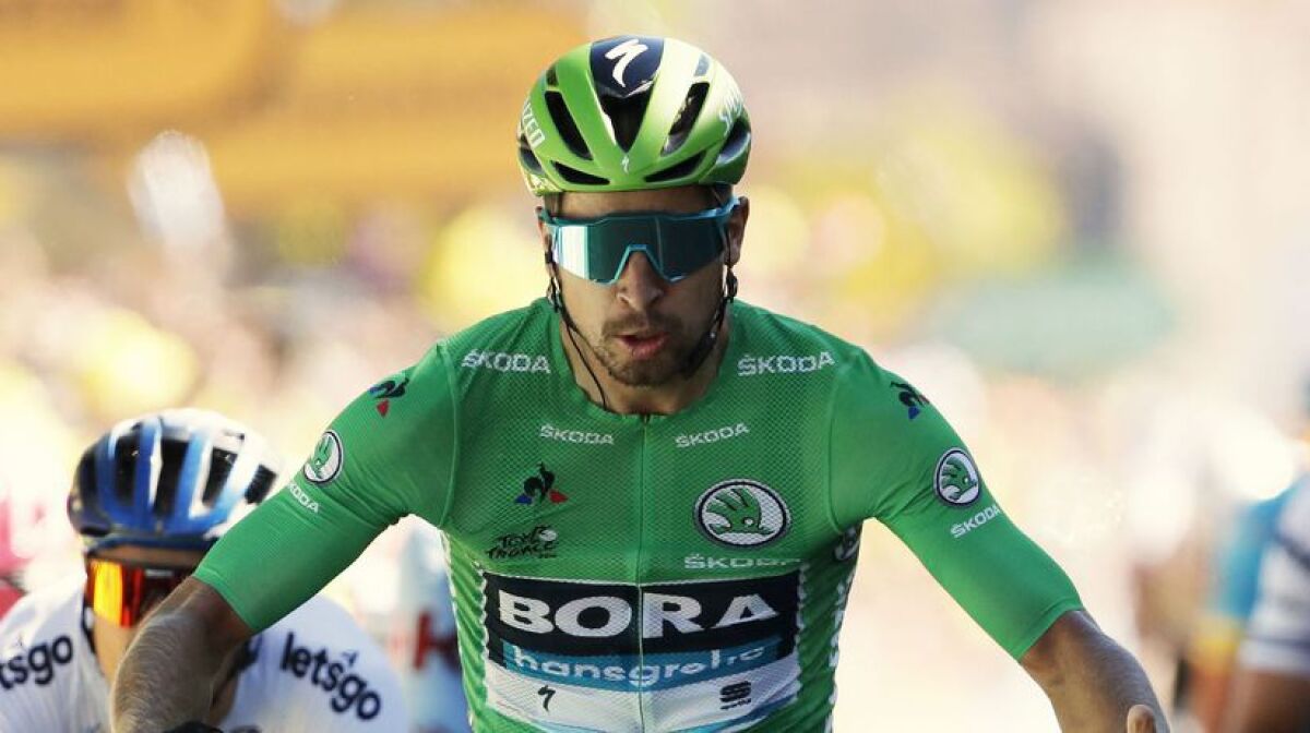 Sagan