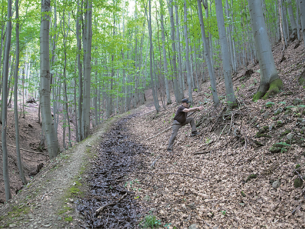 Štefan Vaľo, lesná cesta, odvodnenie, les