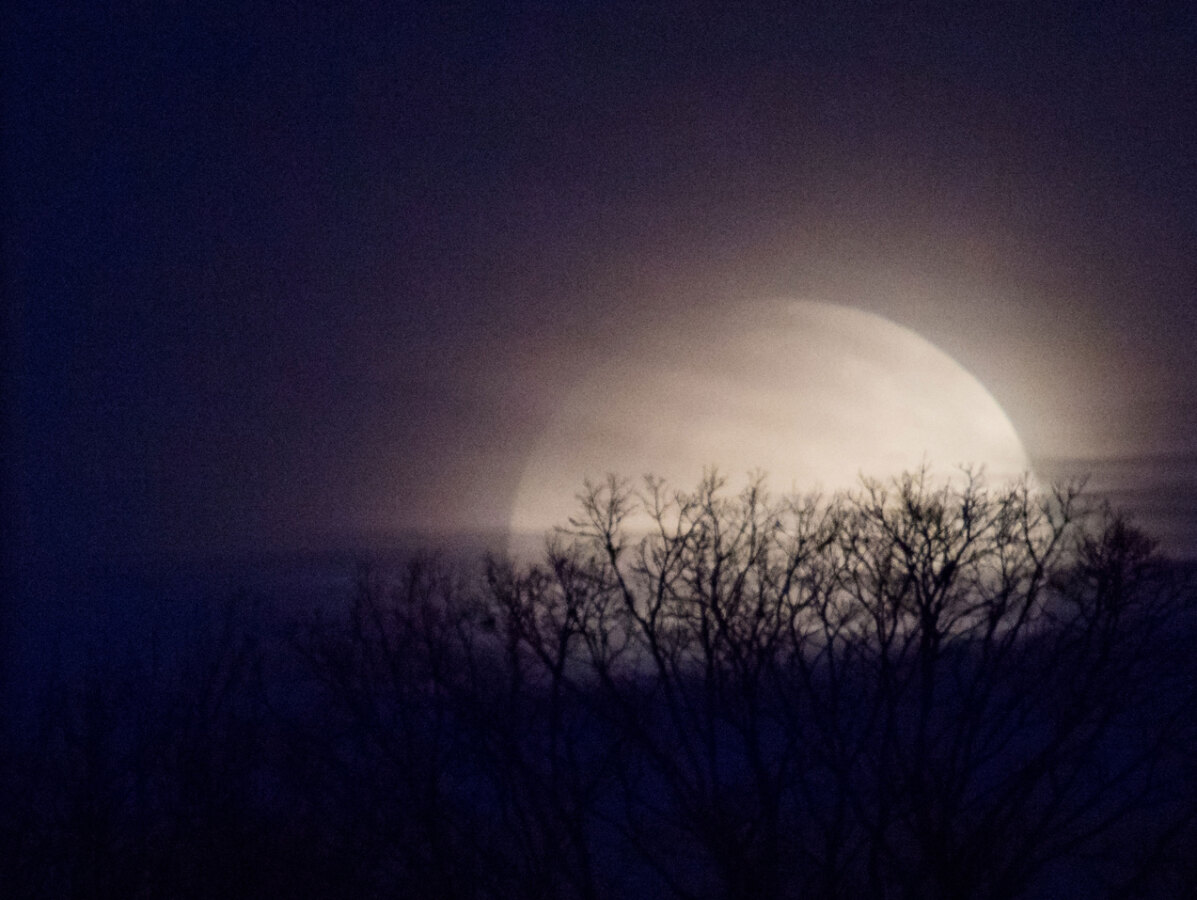 327 Super Blue Blood Moon