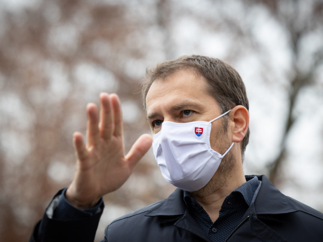 Koronavírus / Celoplošné testovanie / Igor Matovič / 